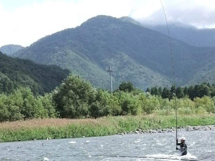 f0103126_22291015.jpg
