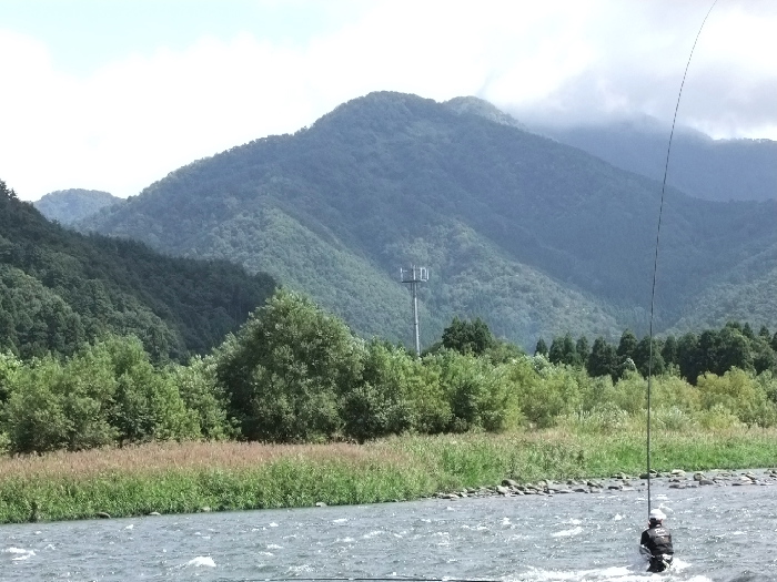 f0103126_2230840.jpg