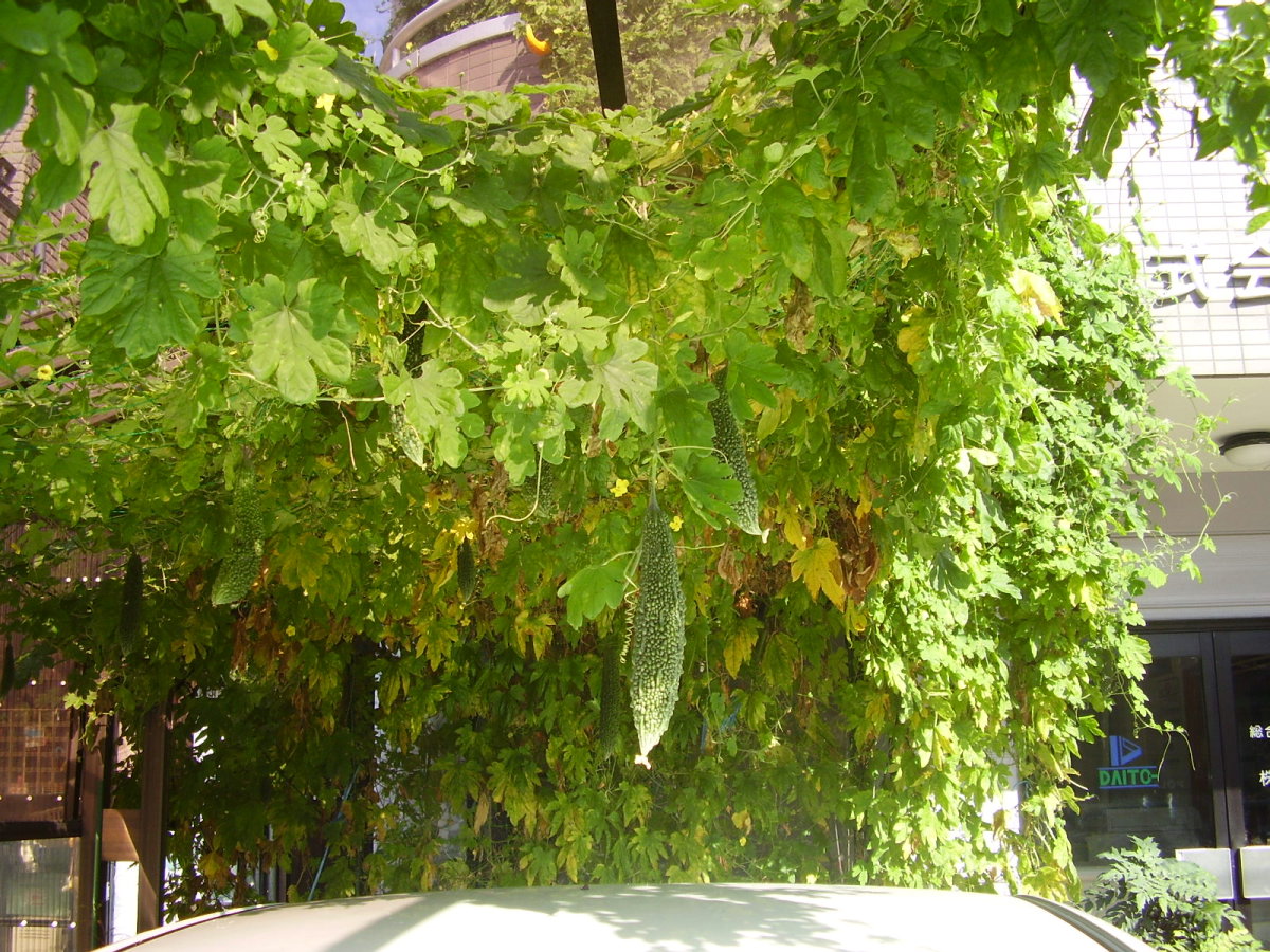 e0181028_9232337.jpg