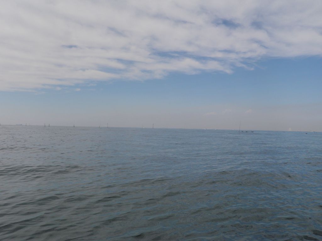 b0173629_11392297.jpg