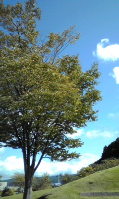 f0064432_1274073.jpg