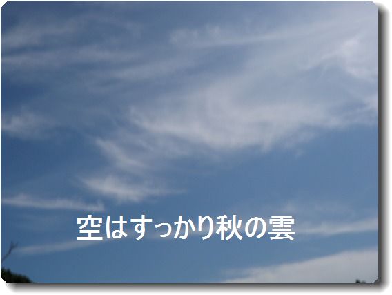 a0130937_18214289.jpg