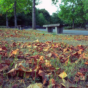 c0184737_01384.jpg