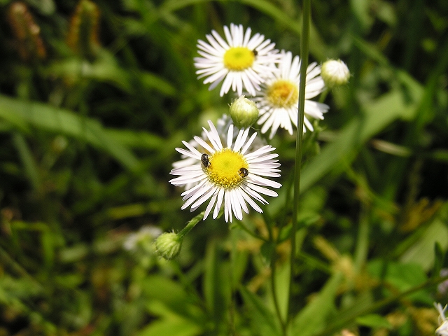 b0099538_19281354.jpg