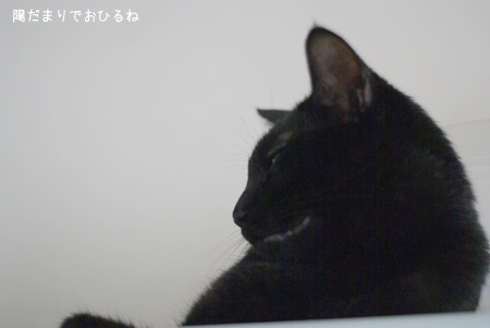 c0132438_22231081.jpg