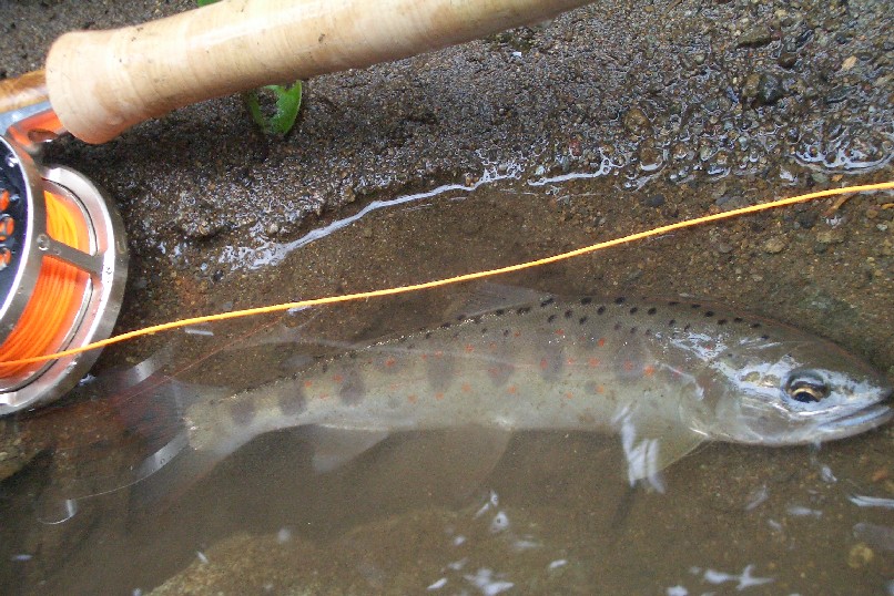 c0176941_2225012.jpg