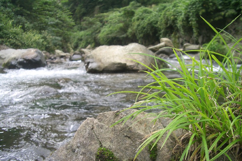 c0176941_226537.jpg