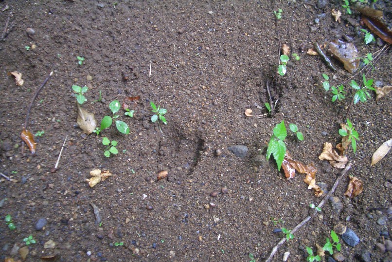 c0176941_2274262.jpg
