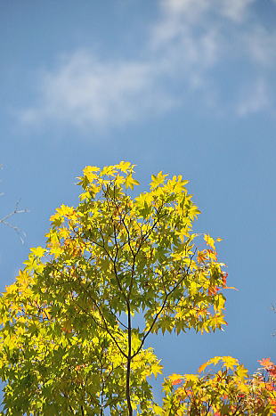 f0094843_13354764.jpg