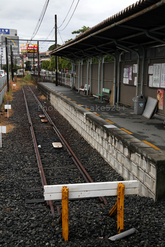 a0116946_6284488.jpg