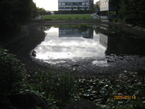 e0121548_956247.jpg