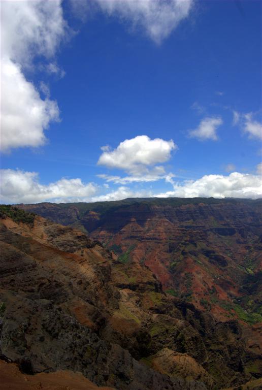 b0168752_1949837.jpg