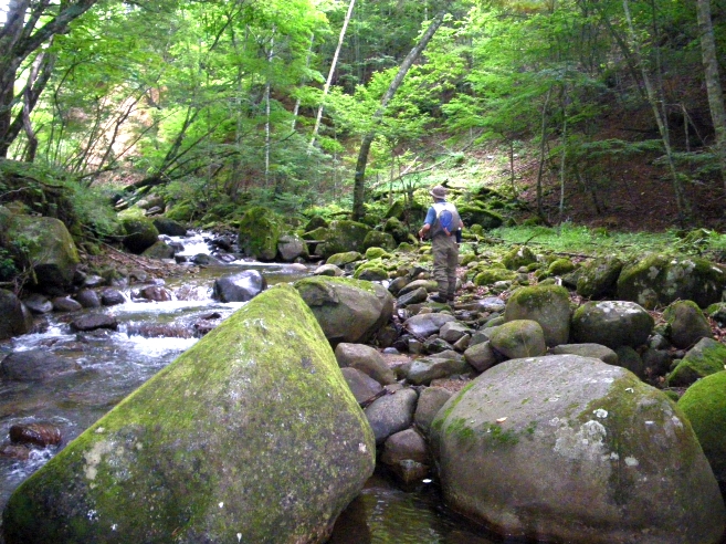 c0060452_1833826.jpg