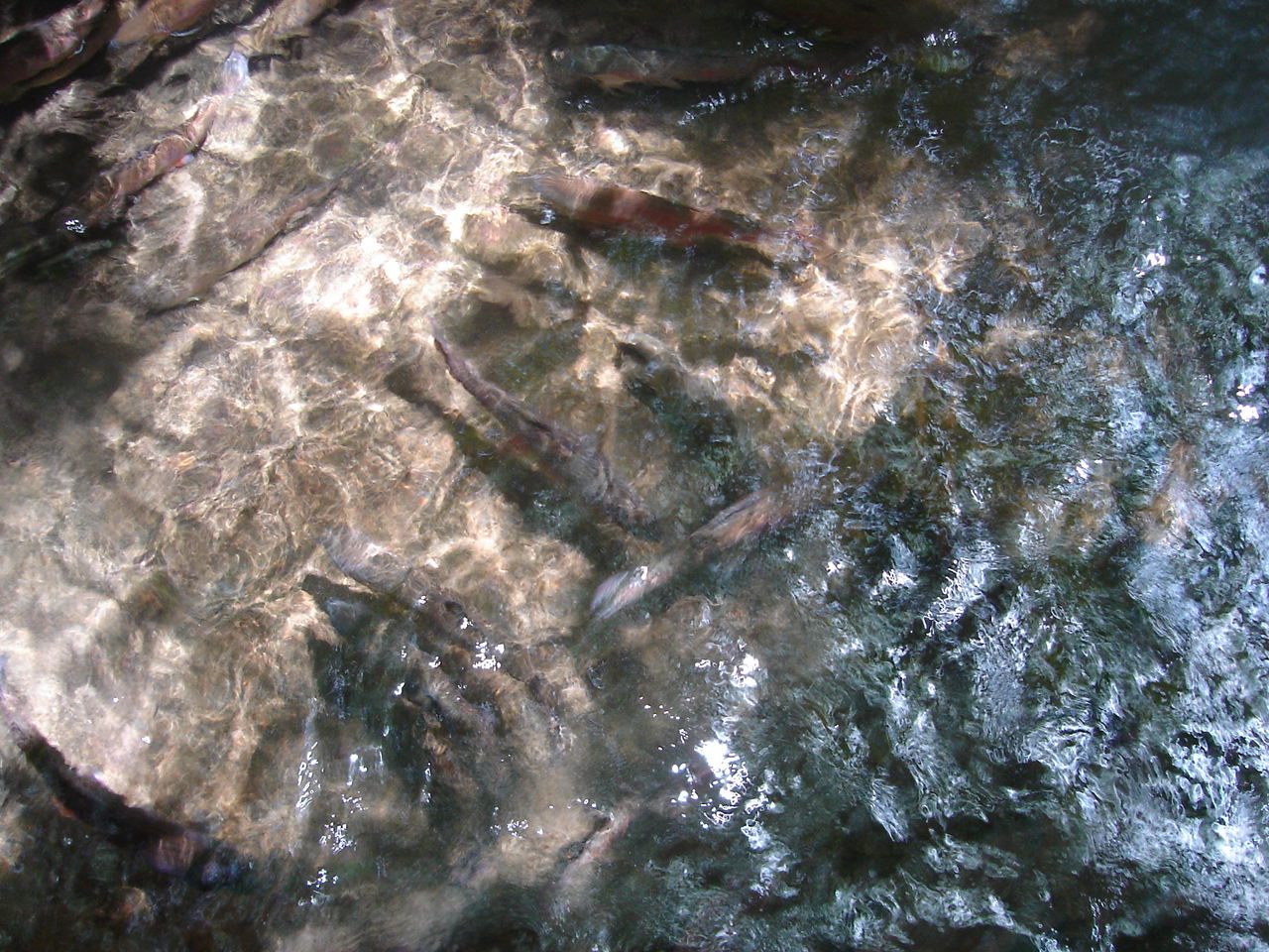 b0164959_13514489.jpg
