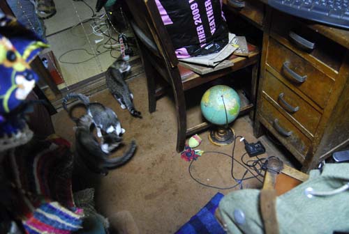 e0140459_1444496.jpg