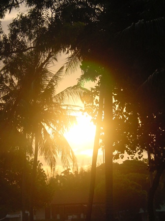 c0000461_1385150.jpg