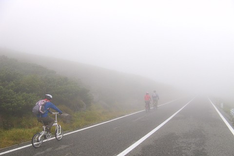 c0123363_81869.jpg