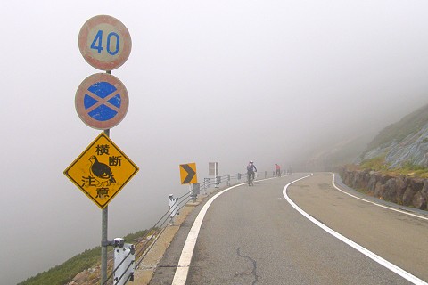 c0123363_829682.jpg