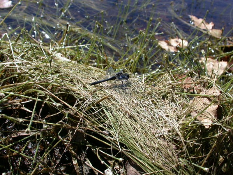 a0122264_13213553.jpg