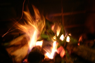 b0079965_6223472.jpg