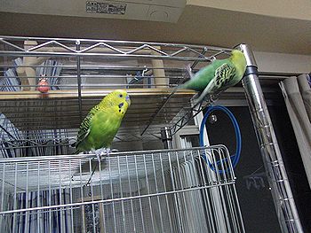 f0196665_01038.jpg