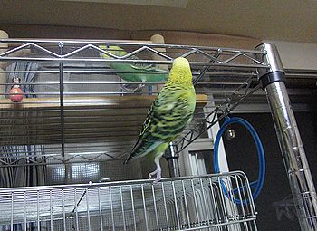 f0196665_023213.jpg