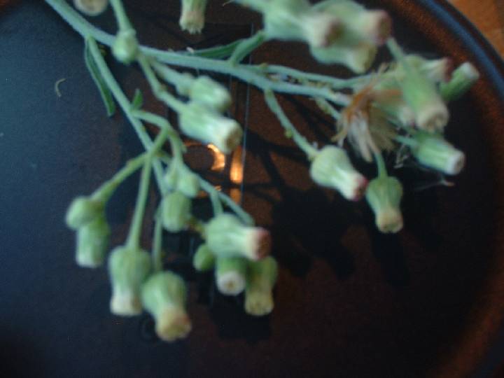 b0032167_2312752.jpg
