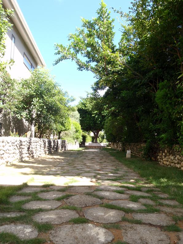b0138768_021032.jpg