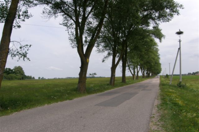 c0110871_1194048.jpg