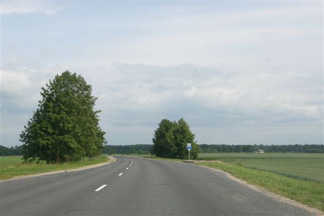 c0110871_3481896.jpg