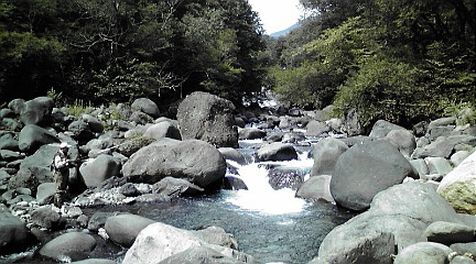c0195284_01366.jpg