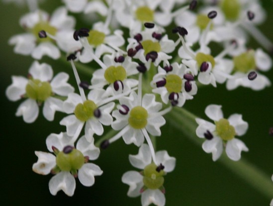 c0144185_1785250.jpg