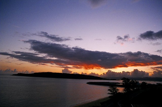 c0160387_804346.jpg