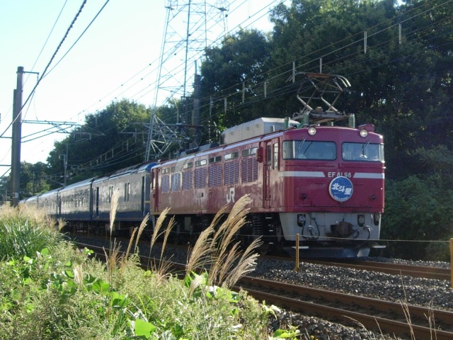 a0045688_22511840.jpg