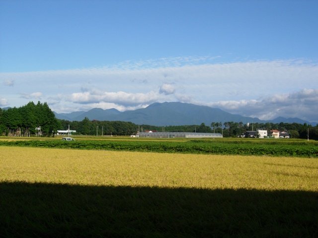 a0045688_22542180.jpg