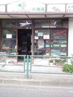 f0024291_10581489.jpg