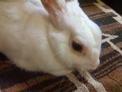 f0201191_1837383.jpg