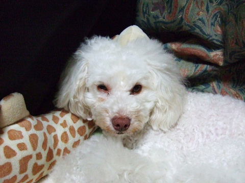 b0104592_11523176.jpg