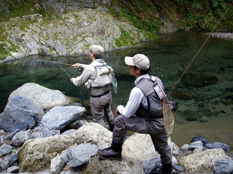 f0141392_803124.jpg