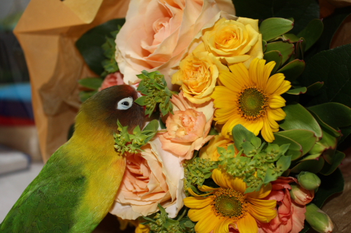 a0112595_2230481.jpg