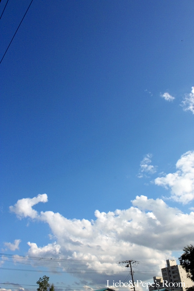f0001895_17361725.jpg
