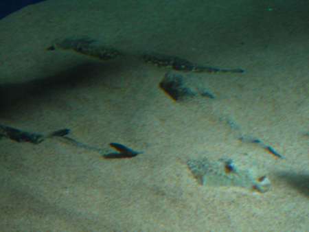 f0168396_012373.jpg