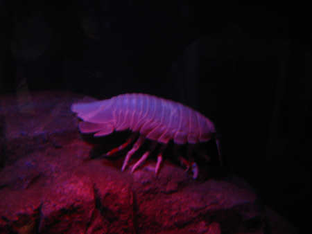f0168396_082082.jpg