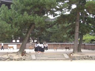 c0187298_001338.jpg