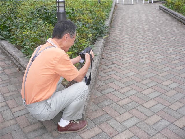 b0149303_17225396.jpg