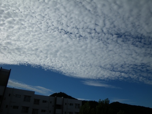 a0078106_17422521.jpg