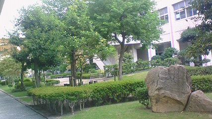 c0205806_2133127.jpg