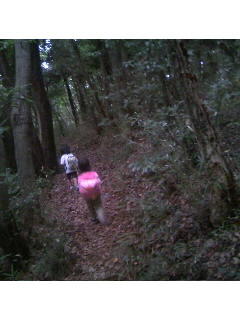 f0009509_1846553.jpg