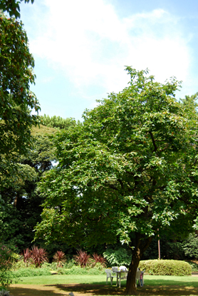 d0113613_16181819.jpg