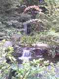 e0134616_22231690.jpg